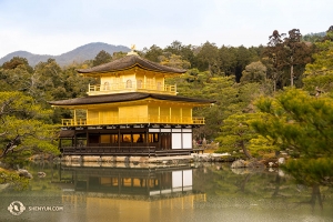 京都の金閣寺。マックのデスクトップの壁紙からご存知の方も多いかと思う。自家撮影を壁紙にするのもいいかもしれない（撮影：日本出身のプリンシパル・ダンサー、小林健司）