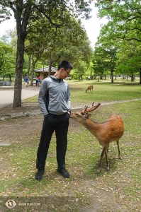 日本の公園で、ダンサーのダレン・チョウは友だちができたようだ。