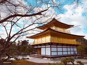 神韻世界芸術団のダンサーたちは、有名な金閣寺の美しさを見出した。（撮影：リリー・ワン）