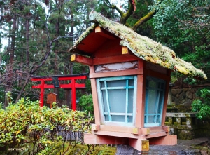 別世界に行ったような嵐山の散策。（撮影：ダンサー、ジェフ・チュワン）