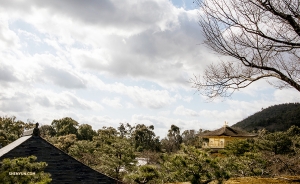遠方より望む金閣寺。（撮影：ダンサー、ミシェル・ウー）
