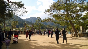 宮島は、本土から船で到着する人々で賑わう。